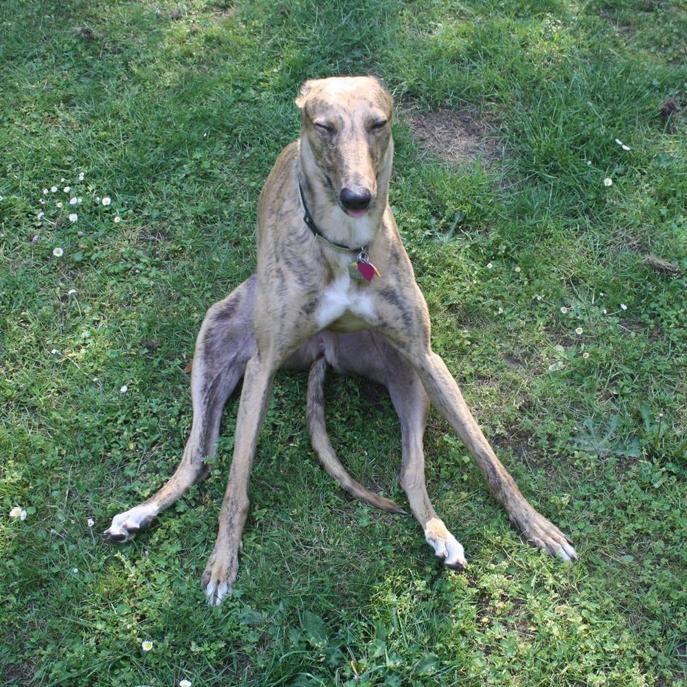 Meet your Posher, Olivia